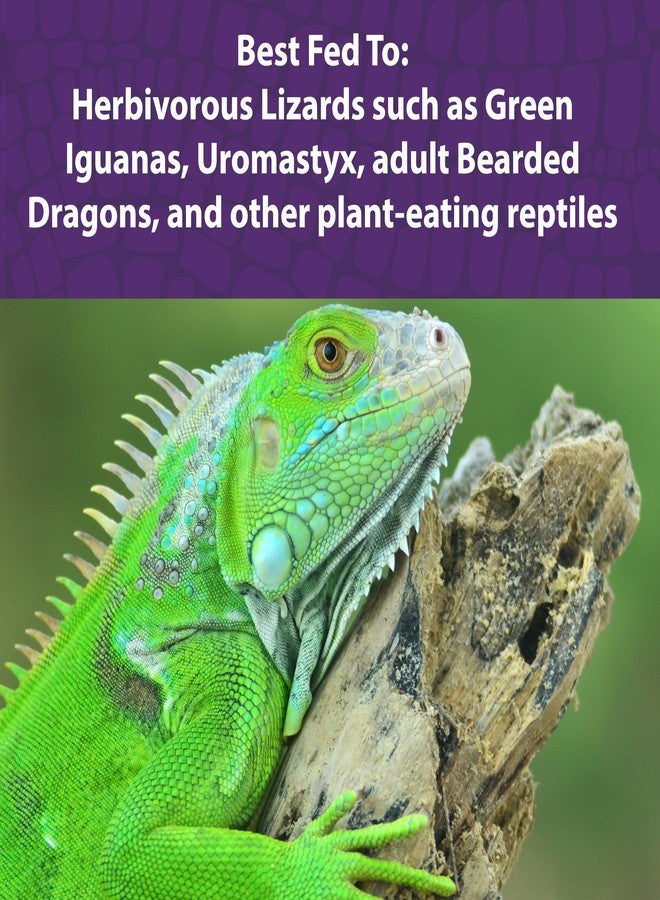 Mazuri® Herbivorous Reptile Diet | Food for Plant-Eating Herbivorous Lizards, Green Iguanas, Uromastyx Lizards | 8 Ounce (8 OZ) Bag - Image 4